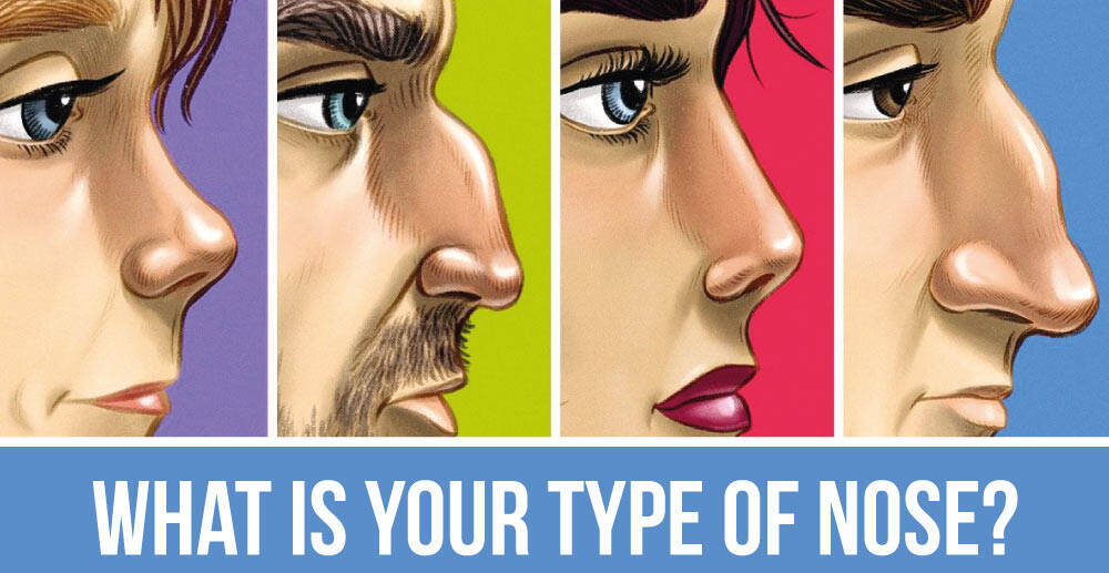 type-of-nose-for-web — 10 Nose Shapes and Types – Expert Rhinoplasty in Istanbul, Turkey