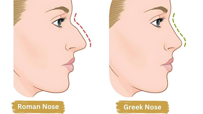 Vergleich griechische nase vs römische nase profil